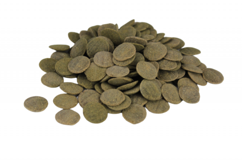 Algea Catfish Wafers